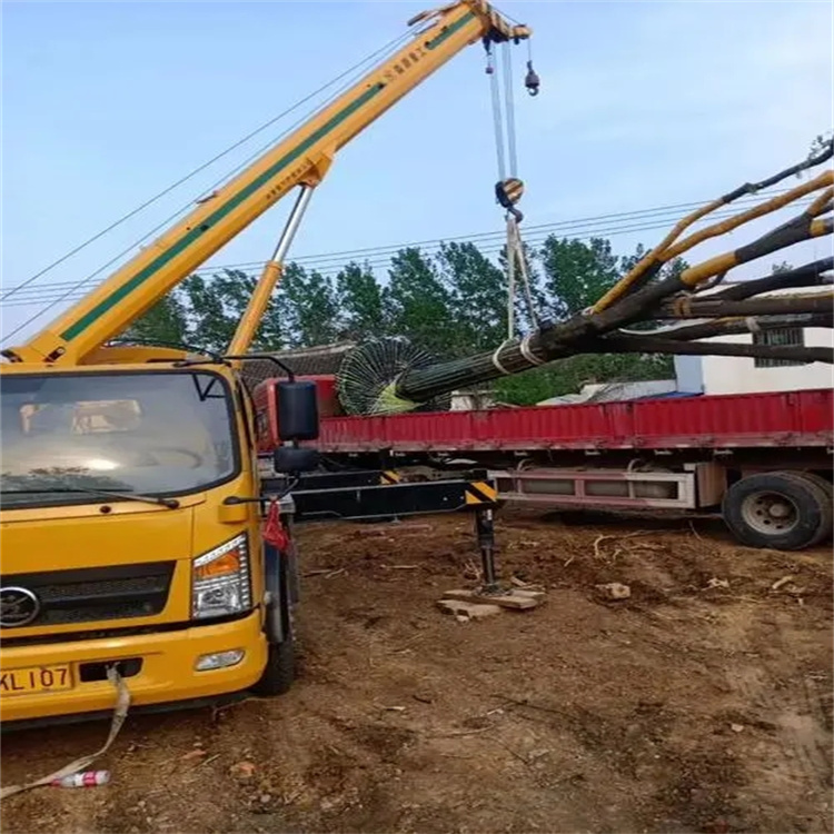 畜禽良种场100吨吊车租赁费用怎么算？3大关键因素+省钱技巧全解析